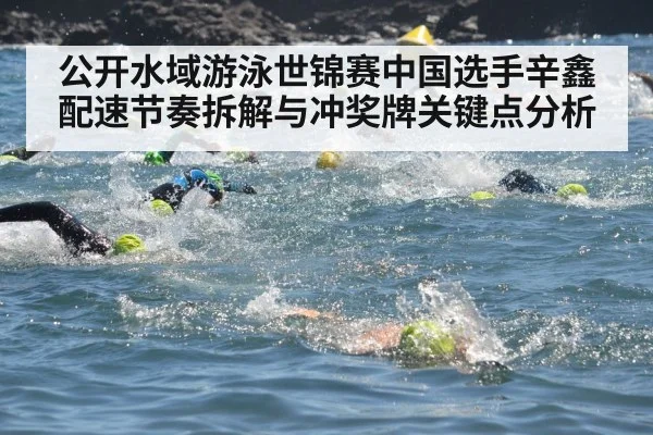 公开水域游泳世锦赛中国选手辛鑫配速节奏拆解与冲奖牌关键点分析 - dafabet