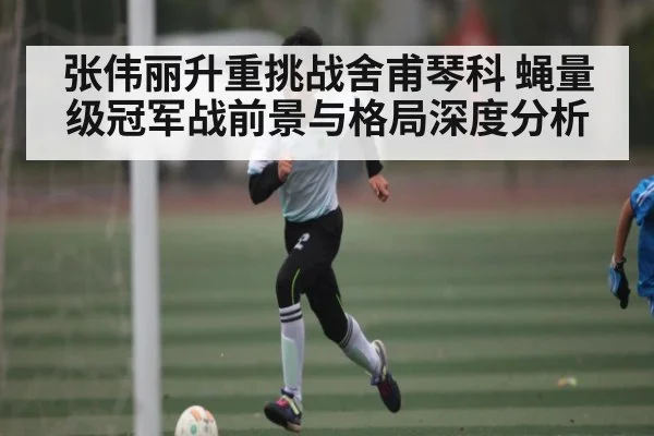 张伟丽升重挑战舍甫琴科 蝇量级冠军战前景与格局深度分析 - dafabet